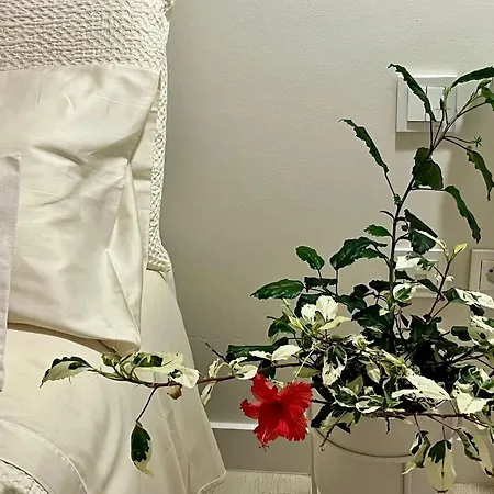 Private Pool & Jacuzzi, Esperanza Costa Adeje